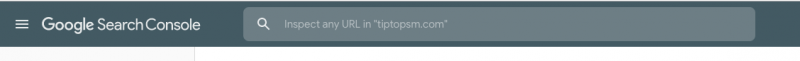 GSC URL inspection
