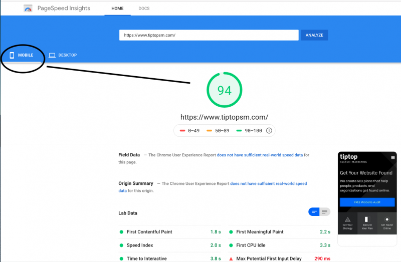 Google Page Speed Test Mobile